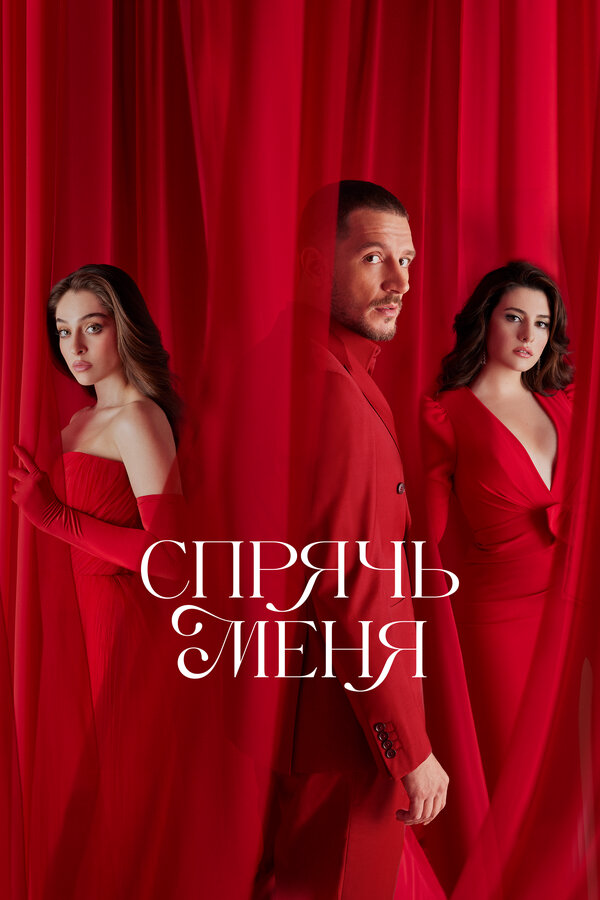 Спрячь меня - постер сериала